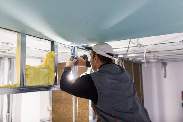 Best Residential Insulation in Manasota Key, FL