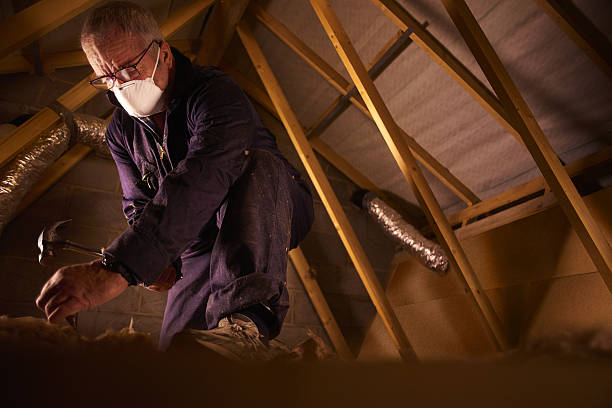Professional Insulation Contractor in Manasota Key, FL
